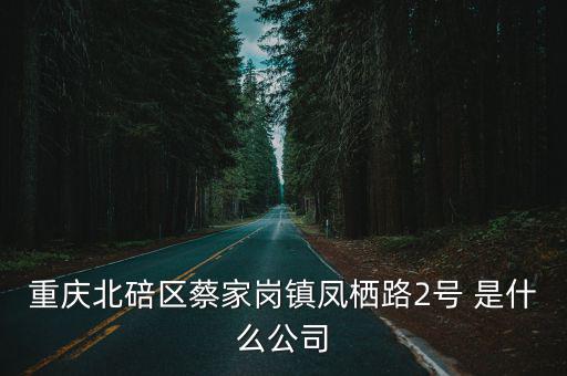 重慶北碚區(qū)蔡家崗鎮(zhèn)鳳棲路2號 是什么公司