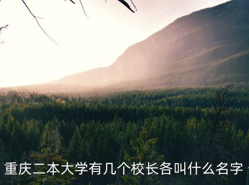 重慶二本大學(xué)有幾個(gè)校長(zhǎng)各叫什么名字