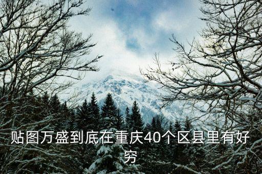 貼圖萬盛到底在重慶40個區縣里有好窮