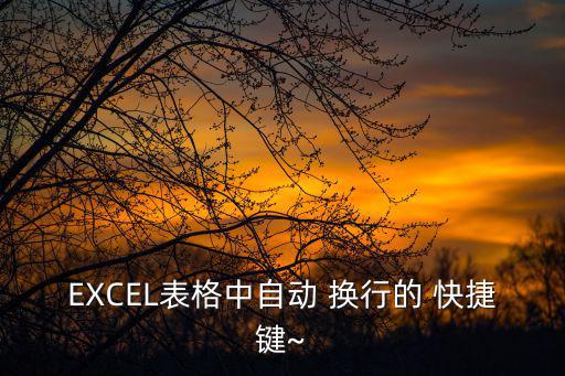 EXCEL表格中自動 換行的 快捷鍵~