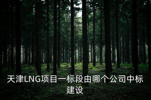 天津LNG項目一標段由哪個公司中標建設