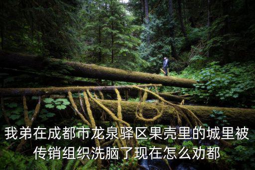 我弟在成都市龍泉驛區(qū)果殼里的城里被傳銷組織洗腦了現(xiàn)在怎么勸都