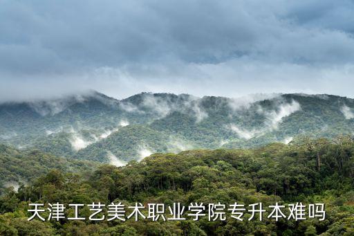 天津工藝美術(shù)職業(yè)學(xué)院專升本難嗎