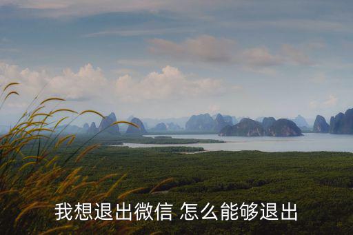 怎么退出微信，我想退出微信 怎么能夠退出