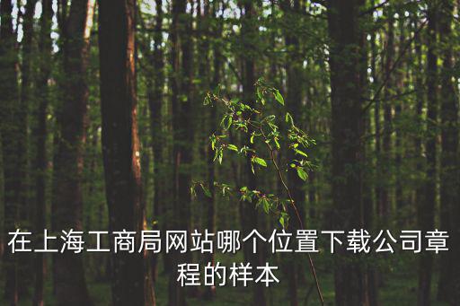 在上海工商局網(wǎng)站哪個位置下載公司章程的樣本
