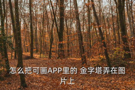 怎么把可畫APP里的 金字塔弄在圖片上