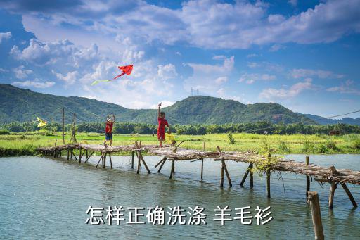 羊毛衫怎么洗,羊絨衫怎么洗?正確方法:洗衣機輕柔模式洗衣