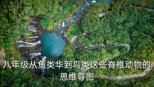 八上物理思維導圖，物理中學8年級上冊
