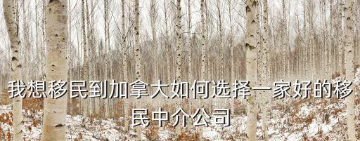我想移民到加拿大如何選擇一家好的移民中介公司