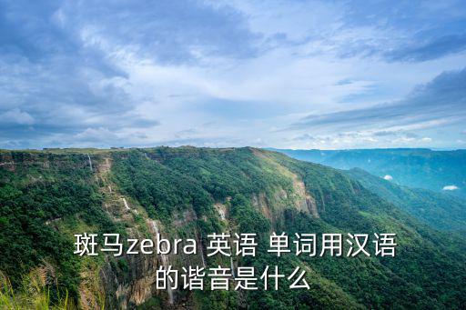 斑馬英語單詞,斑馬被獅子獵殺好像都喜歡斑馬!
