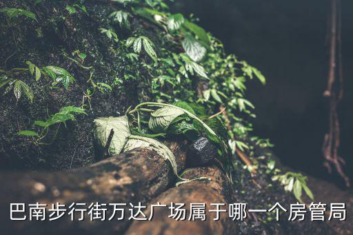 巴南步行街萬達廣場屬于哪一個房管局