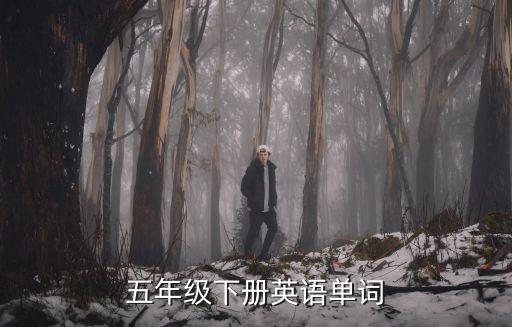 五年級下冊英語單詞，五年級英語下冊課本單詞表能否教讀