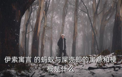 伊索寓言 的螞蟻與屎殼郎的寓意和梗概是什么
