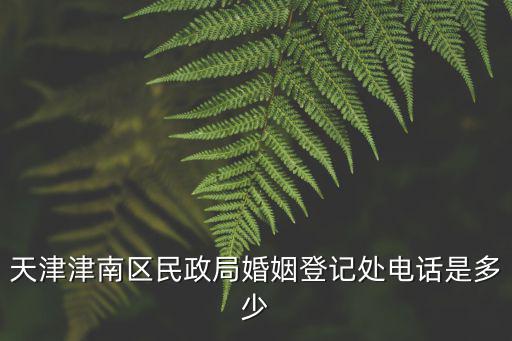 天津津南區民政局婚姻登記處電話是多少