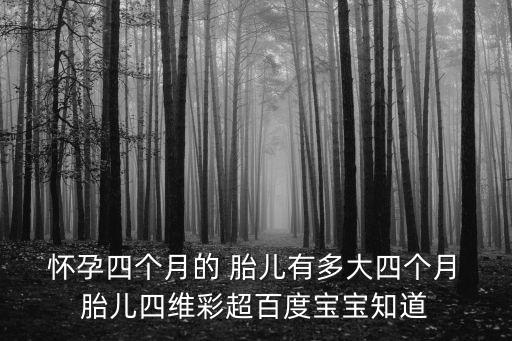  懷孕四個月的 胎兒有多大四個月 胎兒四維彩超百度寶寶知道