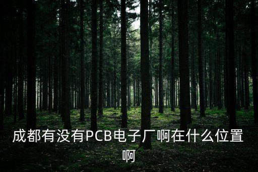 成都市時代星光電子有限公司地址，成都燎原星光電子廠是國企嗎