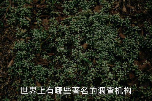 世界上有哪些著名的調(diào)查機(jī)構(gòu)