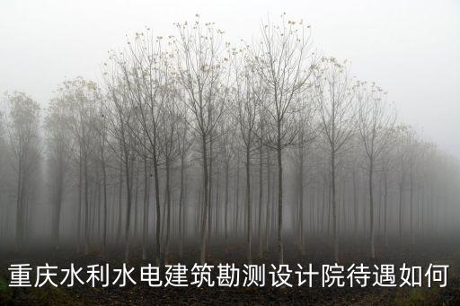 重慶水利水電建筑勘測設計院待遇如何