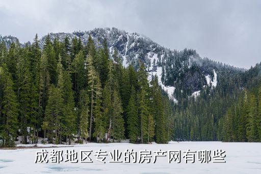 成都地區專業的房產網有哪些