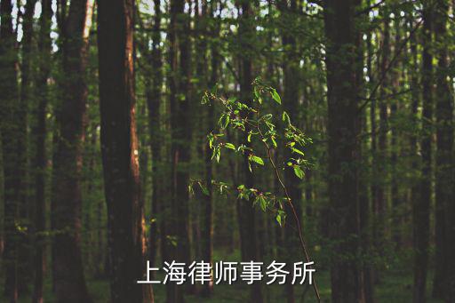 上海法浦律師事務所怎么樣，上海閘北區律師最好的是誰