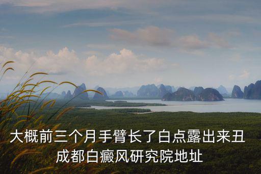 大概前三個(gè)月手臂長了白點(diǎn)露出來丑 成都白癜風(fēng)研究院地址