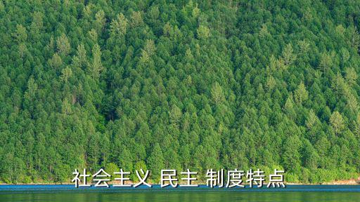 社會(huì)主義 民主 制度特點(diǎn)