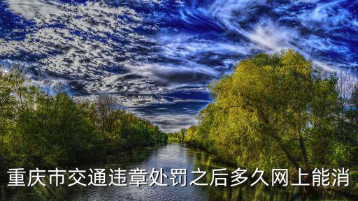 重慶市交通違章處罰之后多久網上能消