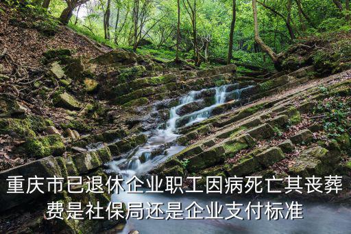 重慶市病故撫恤金，重慶市已退休企業(yè)職工因病死亡其喪葬費是社保局還是企業(yè)支付標準