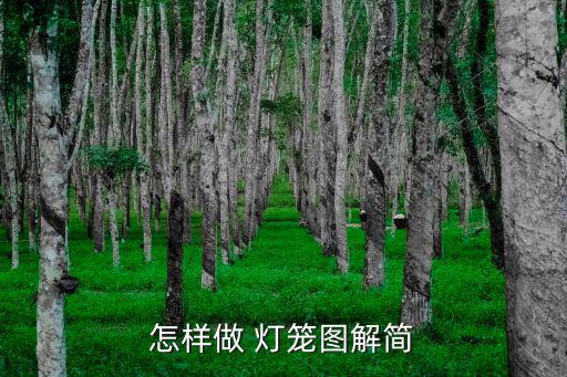 怎樣做 燈籠圖解簡