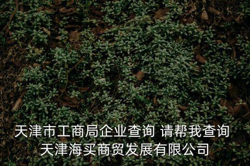 天津市工商局企業查詢 請幫我查詢 天津海買商貿發展有限公司