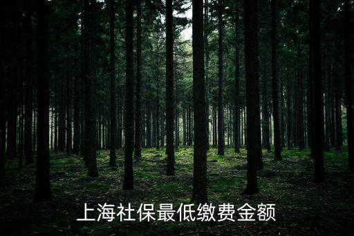 上海最低檔的社保要交多少錢，上海4000多的低薪社保個人需交多少錢需
