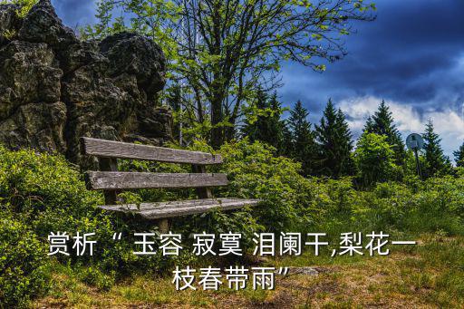 玉容寂寞淚闌干,楊貴妃淚灑皇宮皇上含淚送別楊玉容
