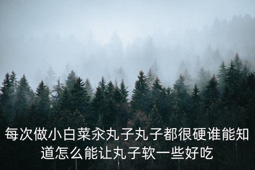 每次做小白菜汆丸子丸子都很硬誰能知道怎么能讓丸子軟一些好吃