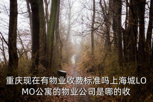 重慶現在有物業收費標準嗎上海城LOMO公寓的物業公司是哪的收