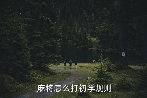 學(xué)打麻將,從零開始學(xué)打麻將!