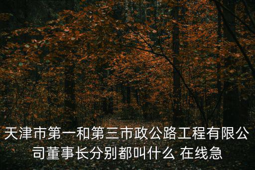 天津市第一和第三市政公路工程有限公司董事長分別都叫什么 在線急