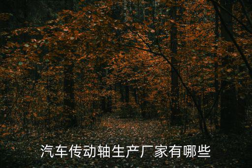 汽車傳動軸生產(chǎn)廠家有哪些