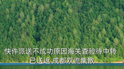 快件派送不成功原因海關查驗待中轉 已送返 成都雙流集散
