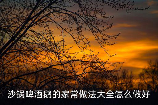 沙鍋啤酒鵝的家常做法大全怎么做好