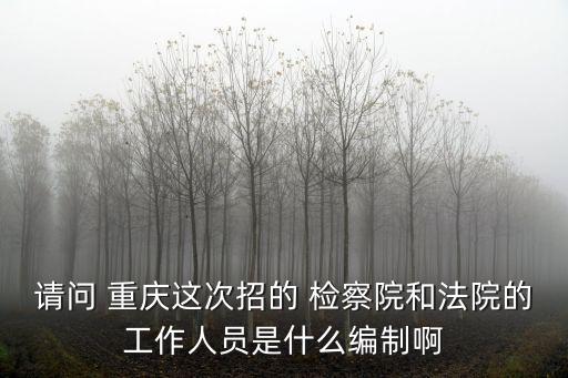 請問 重慶這次招的 檢察院和法院的工作人員是什么編制啊