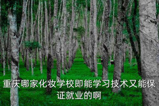重慶哪家化妝學校即能學習技術又能保證就業的啊