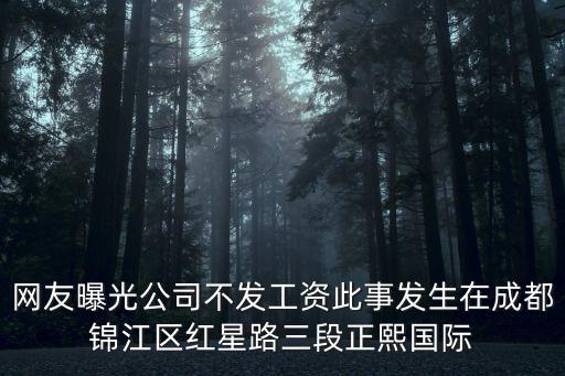 成都市 區聶曉琴，網友曝光公司不發工資此事發生在成都錦江區紅星路三段正熙國際