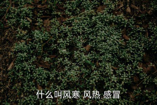 什么叫風寒 風熱 感冒