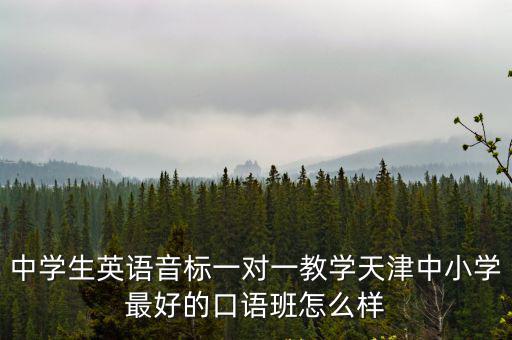中學(xué)生英語音標(biāo)一對一教學(xué)天津中小學(xué)最好的口語班怎么樣