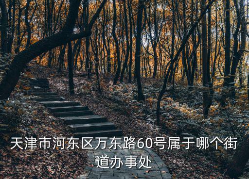天津市河東區萬東路60號屬于哪個街道辦事處
