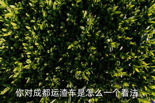 你對成都運渣車是怎么一個看法