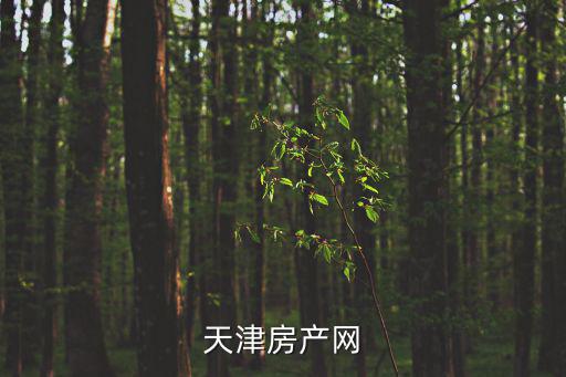 搜房網天津市，天津市房地產