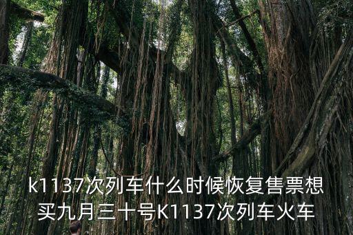 鄭州什么時候能恢復正常高鐵，k1137次列車什么時候恢復售票想買九月三十號K1137次列車火車