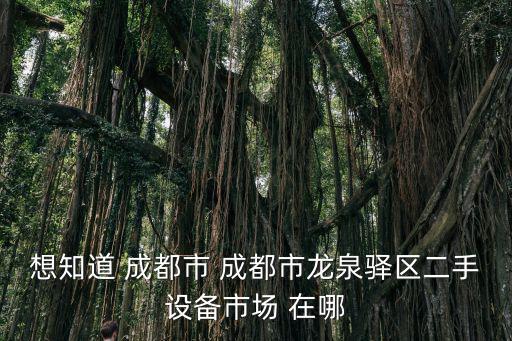 想知道 成都市 成都市龍泉驛區二手設備市場 在哪
