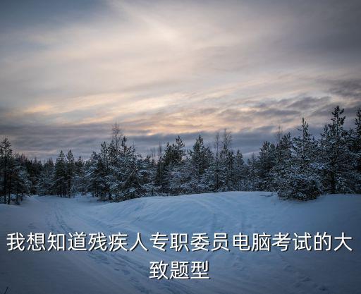 我想知道殘疾人專職委員電腦考試的大致題型